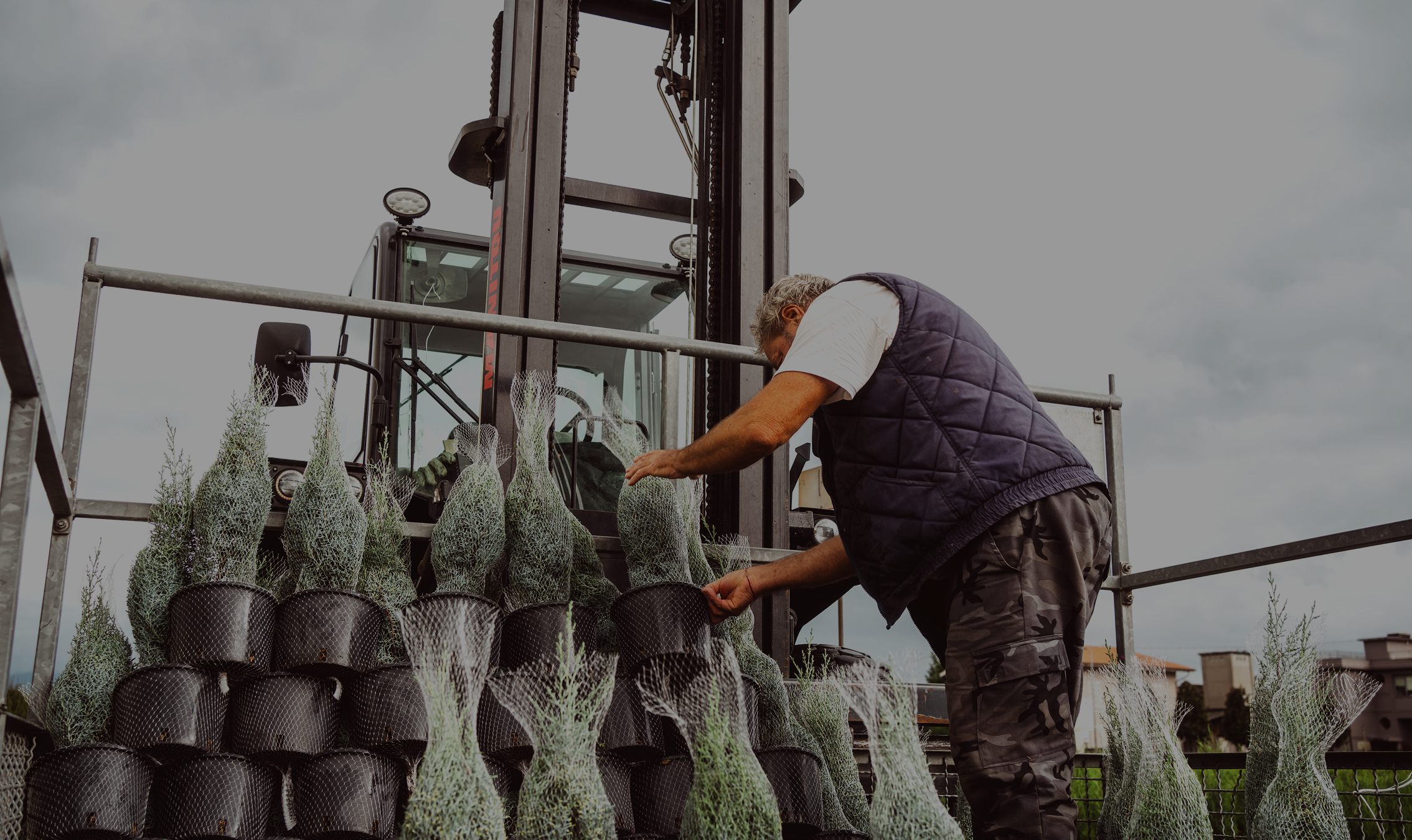 Produzione